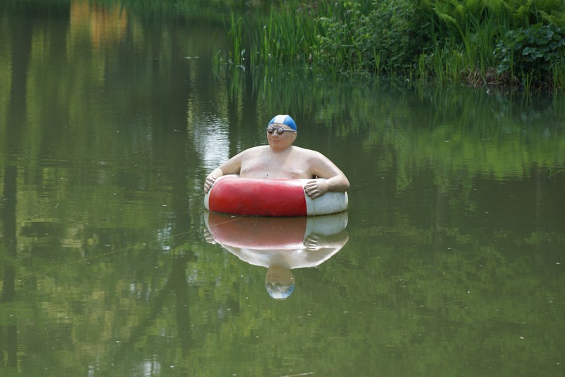 Teich und Schimmerfigur um Rhododendronpark Gristede