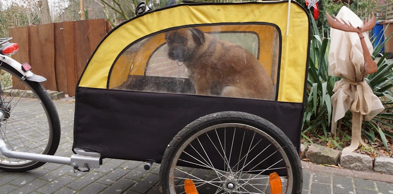 Hundefahrradanhänger von Kranich mit Hund