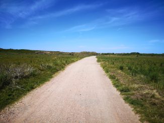 Fahrradweg auf Borkum