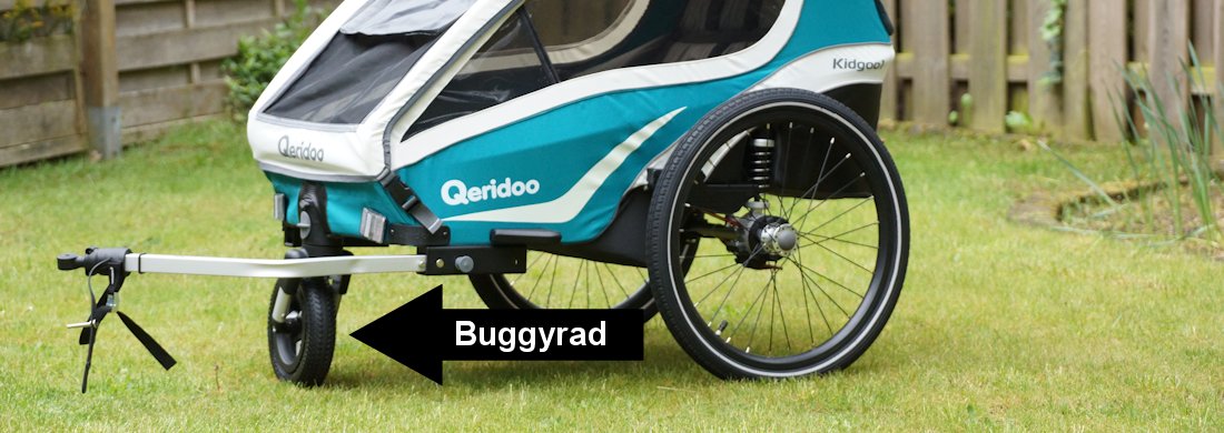 buggyrad kidgoo qeridoo