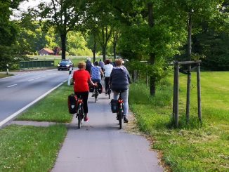 Fahrradweg im Ammerland