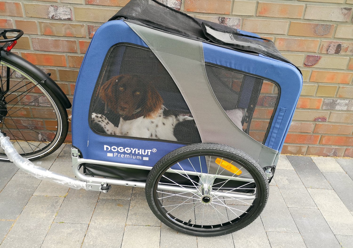 Fahrradanhänger für Hunde im Test