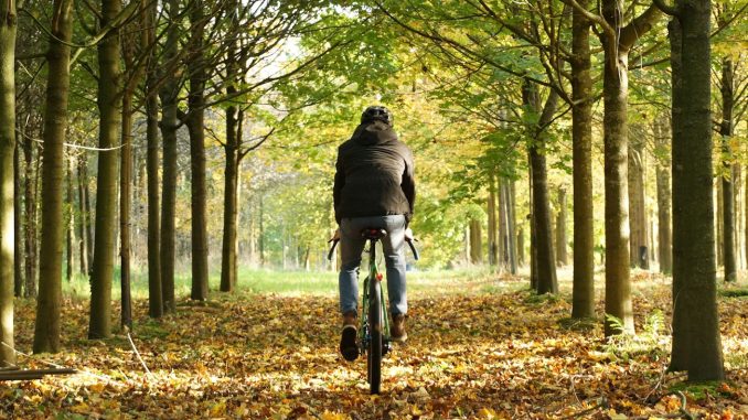 Fahrradkalender Wandkalender