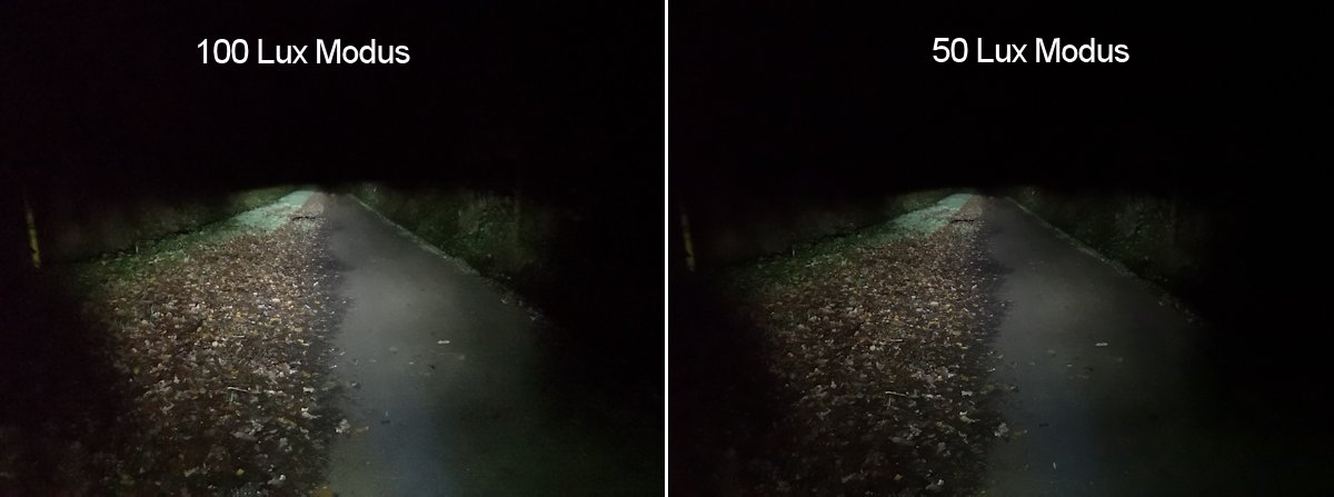 IXON Rock Leuchtbildbei Nacht im Wald mit 100 Lux und 50 Lux