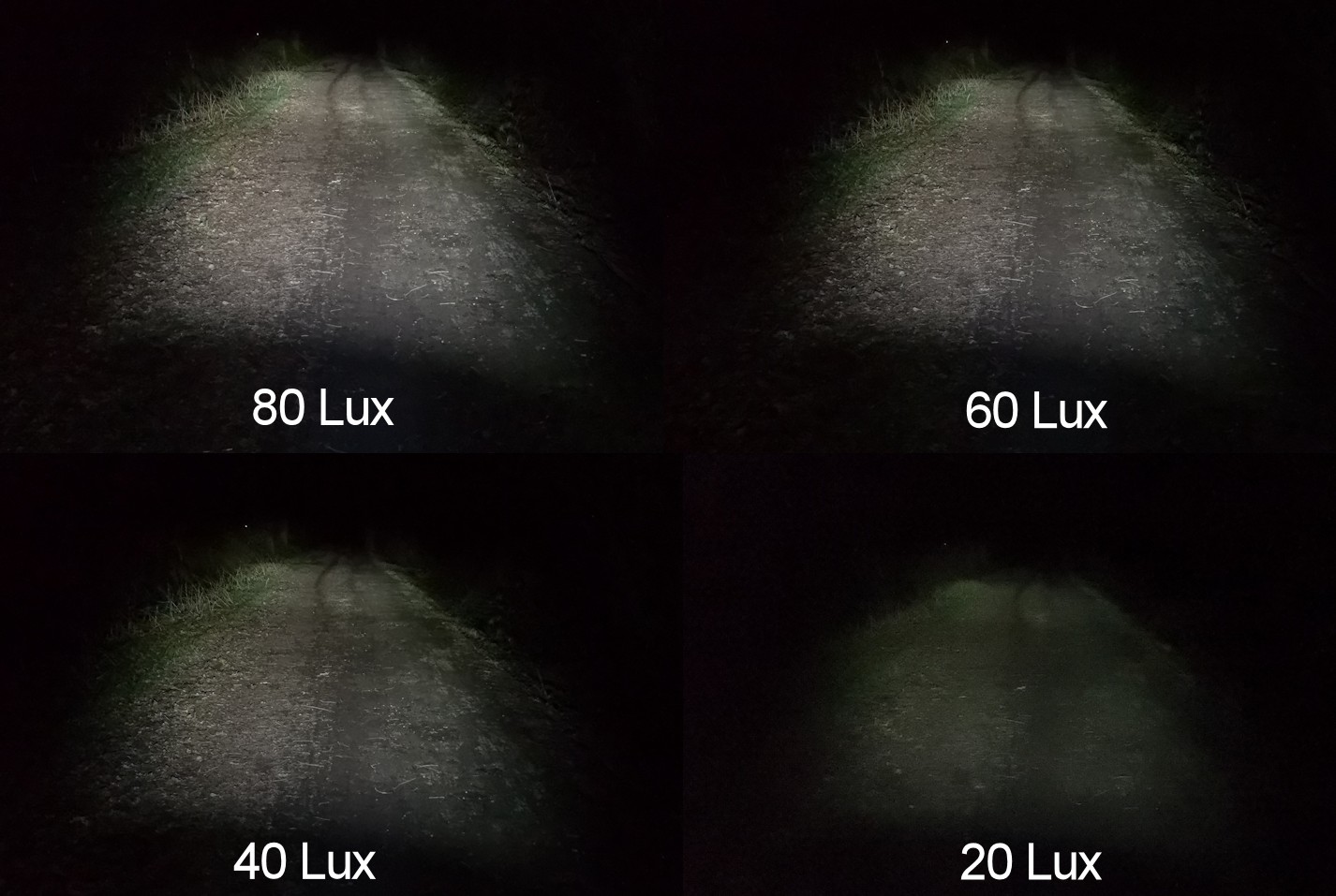 Sigma Aura 80 Leuchtbilder